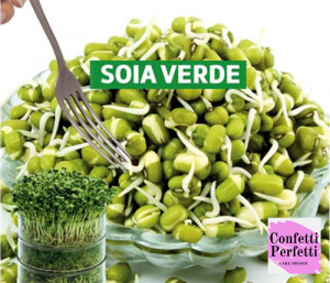 Semi di Soia Verde. 250 gr