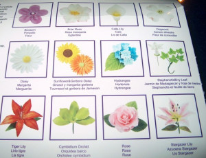 Confezione di 29 Stampi per realizzare splendidi fiori e petali.