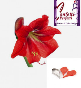 Petalo Amarillis. 2 Venatori + Cutter