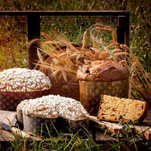 CEREAL’EAT 10 Kg. Per Panettone Colombe e Lievitati ai Cereali. Irca