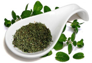 Menta. Egitto. Spezia. 15 gr.
