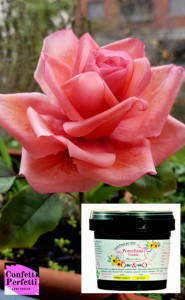 Porcellana Fredda Alimentare per Petali Finissimi e Trasparenti! Gum Paste Bianca per Fiori