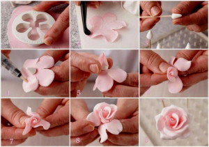 Petali Rosa a 5 petali. Stampo in plastica per la pasta di zucchero