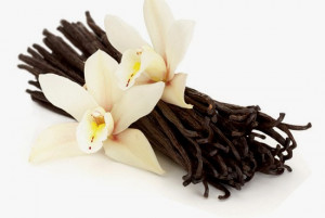 Vaniglia Madagascar Bourbon 