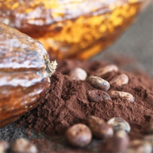 Cacao. 1 Kg.Tipo 20/22 in polvere. Alta qualità. Irca