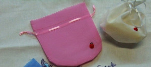 Confezione di 12 Sacchetti 10 x 10 cm in tessuto con coccinella