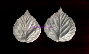 Foglia di Mora 6,5 cm. 2 Venatori in silicone