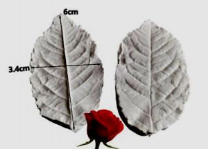 Foglia di Rosa di 6 x 3.4 cm. Stampo di 2 Venatori in silicone
