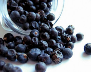 Ginepro bacche. Spezia. 50 gr.