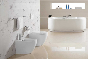 Coppia di Sanitari a terra filo muro Easy con copri vaso frizionato