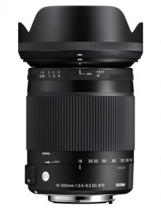 Sigma 18-300mm f/3.5-6.3 DC Macro OS HSM Contemporary - Nikon