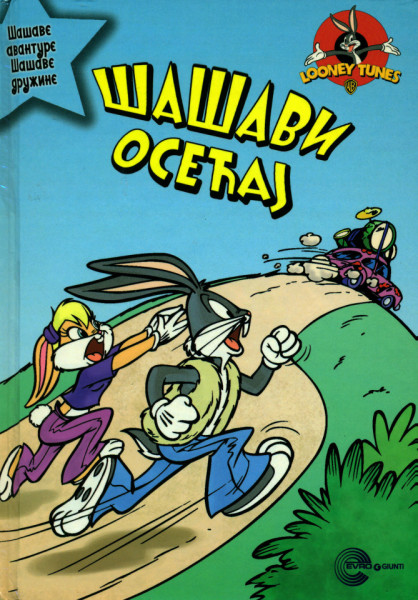 Šašavi osećaj