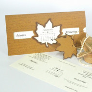 Invitatie 8336