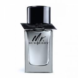 MR. BURBERRY 100ml
