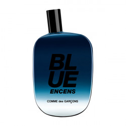 BLUE ENCENS 100ml