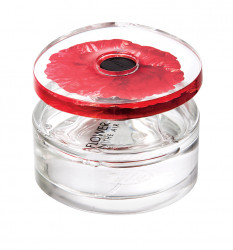 FLOWER IN THE AIR 30ml