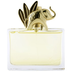 JUNGLE 50ml