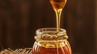 Mel Extract - Extract de miere