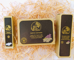 SET CADOU Coada Șoricelului II
