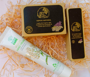SET CADOU Coada Șoricelului