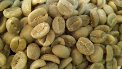 ACIDUL CLOROGENIC un antioxidant puternic in CAFEA - influente pozitive asupra sanatatii umane si aroma cafelei