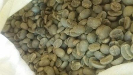 CAFEA VERDE USCATA BOABE sau MACINATA 100g