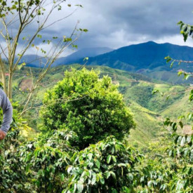 Cafea ecologica de specialitate macinata Peru Cooperativa Union Y Fe La Coipa , Arabica 500g lot212 RO-ECO-008.642-0009337.2023.001
