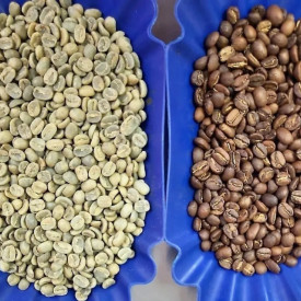 Cafea specialitate prajita boabe GUATEMALA FINCA EL DURAZNAL 250g plic