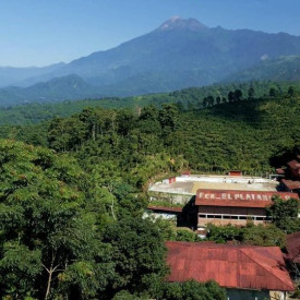 Cafea de specialitate prajita boabe GUATEMALA FINCA EL PLATANILLO Arabica 400g cutie metalica