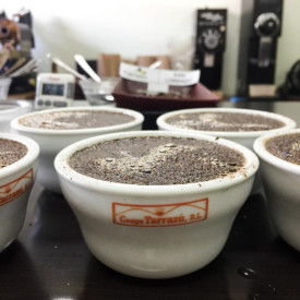 Cafea specialitate macinata COSTA RICA TARRAZU SAN RAFAEL RZ SANTOS Arabica 500g plic