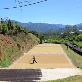 Cafea specialitate MICROLOT boabe COSTA RICA SHG EP CANDELILLA ESTATE TYPICA 150g cutie metalica