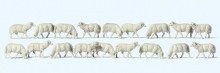 Preiser 14161 Schapen