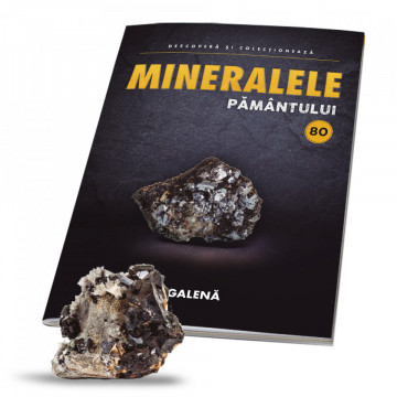 Editia nr. 80 - Galenă (Mineralele Pamantului)
