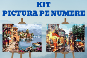 picturi pe numere FunFox