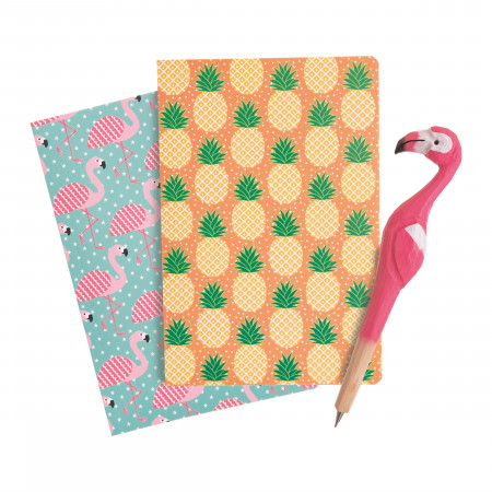 Set carnetele si pix Flamingo