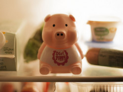Porcusor roz pentru dieta in frigider