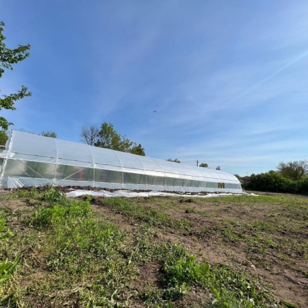 IZ-L4 - solar profesional de gradina, latime 4m, structura din teava galvanizata