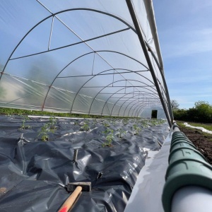 IZ-L4 - solar profesional de gradina, latime 4m, structura din teava galvanizata