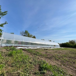 IZ-L5 - solar profesional de gradina, latime 5m, structura din teava galvanizata