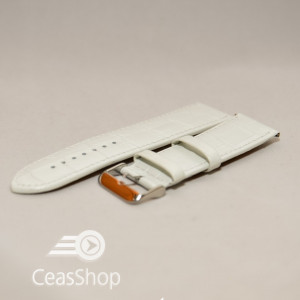 Curea vitel alba 30mm - 32773