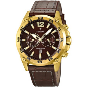Ceas Festina F16880/2