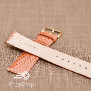 Curea soparla maro XL fara cusatura 20mm - 38710