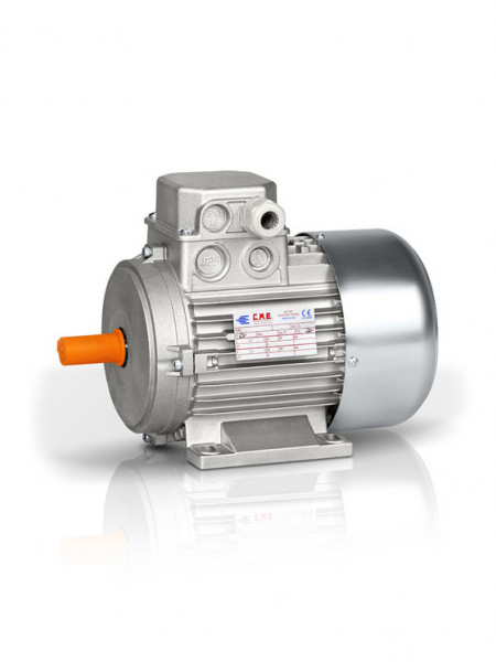 Motor electric trifazat cu doua viteze 0.22/0.15kw 3000/1400rpm 63 B3