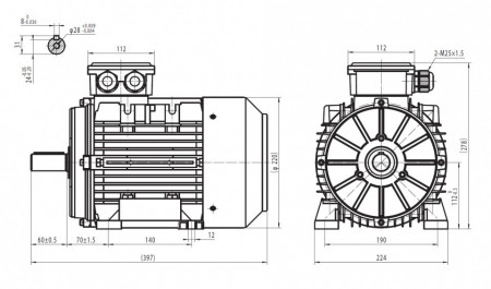 Motor electric trifazat cu doua viteze 2.8/2kw 1400/1000rpm 112 B3