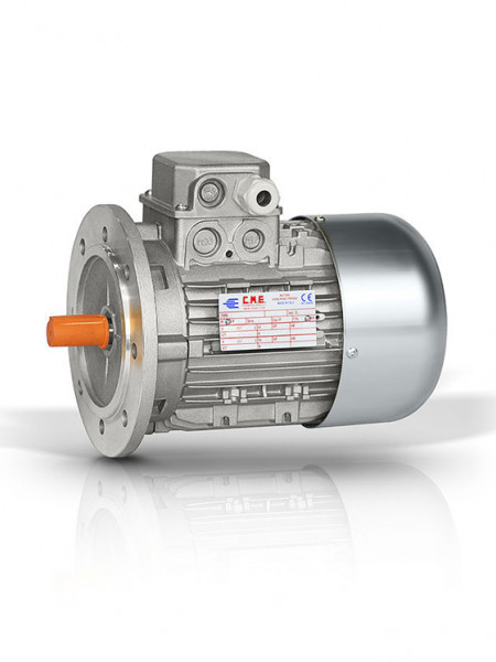 Motor electric monofazat 0,75kw 3000rpm 80 B5