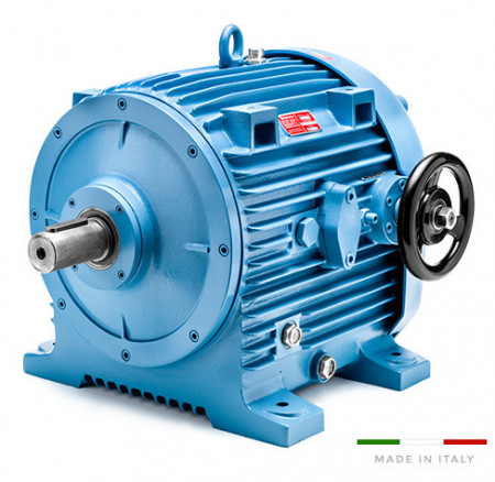 Variator de turatie hidraulic tip 11.16B/000/1 - 7.5kw 6poli 132B5