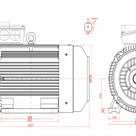 Motor electric trifazat 55kw 750rpm 315 B3