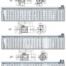 Motor electric trifazat cu doua viteze 0.75/0.55kw 1400/1000rpm 90 B5