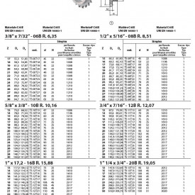 Pinion cu butuc gall 16B-1 (1"X17.02) z=21 dinti BC2517 (11-65mm) dinti tratati