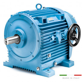 Variator de turatie hidraulic tip 11.16B/000/1 - 9.2kw 4poli 132B5